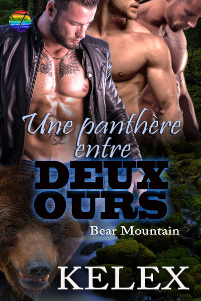 Une panthère entre deux ours (Bear Mountain en français, 19) par Kelex