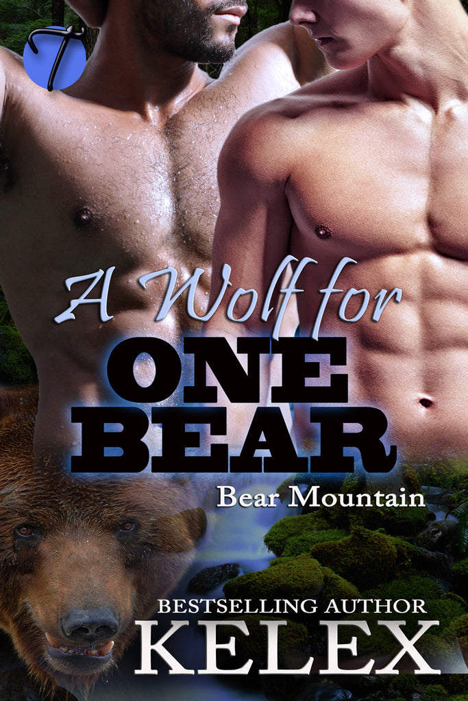 A Wolf for One Bear (Bear Mountain, 15) by Kelex